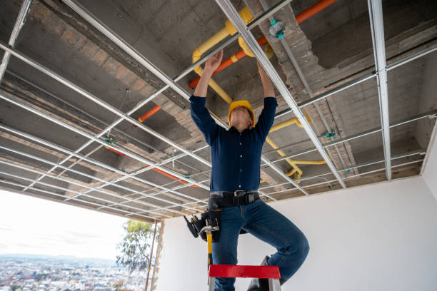 Best Best Plumbers Near Me  in Hallandale Beach, FL
